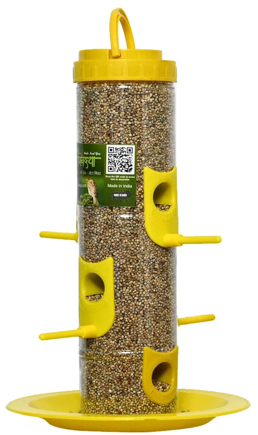 bird feeder hanging grill for balcony, outdoor, transparent, robin, wildlife feeder bird feeder hanging grill for balcony, outdoor, transparent, robin, wildlife feeder